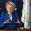 Traité avec le Mercosur : entre Von der Leyen et les opposants, la bataille rangée commence