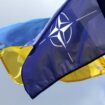 Ukraine pushes for NATO membership, but it's complicated