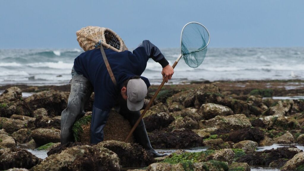 « Un loisir accessible à tous » : tous les secrets de la pêche à pied sur l’île d’Oléron dans un livre