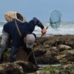 « Un loisir accessible à tous » : tous les secrets de la pêche à pied sur l’île d’Oléron dans un livre