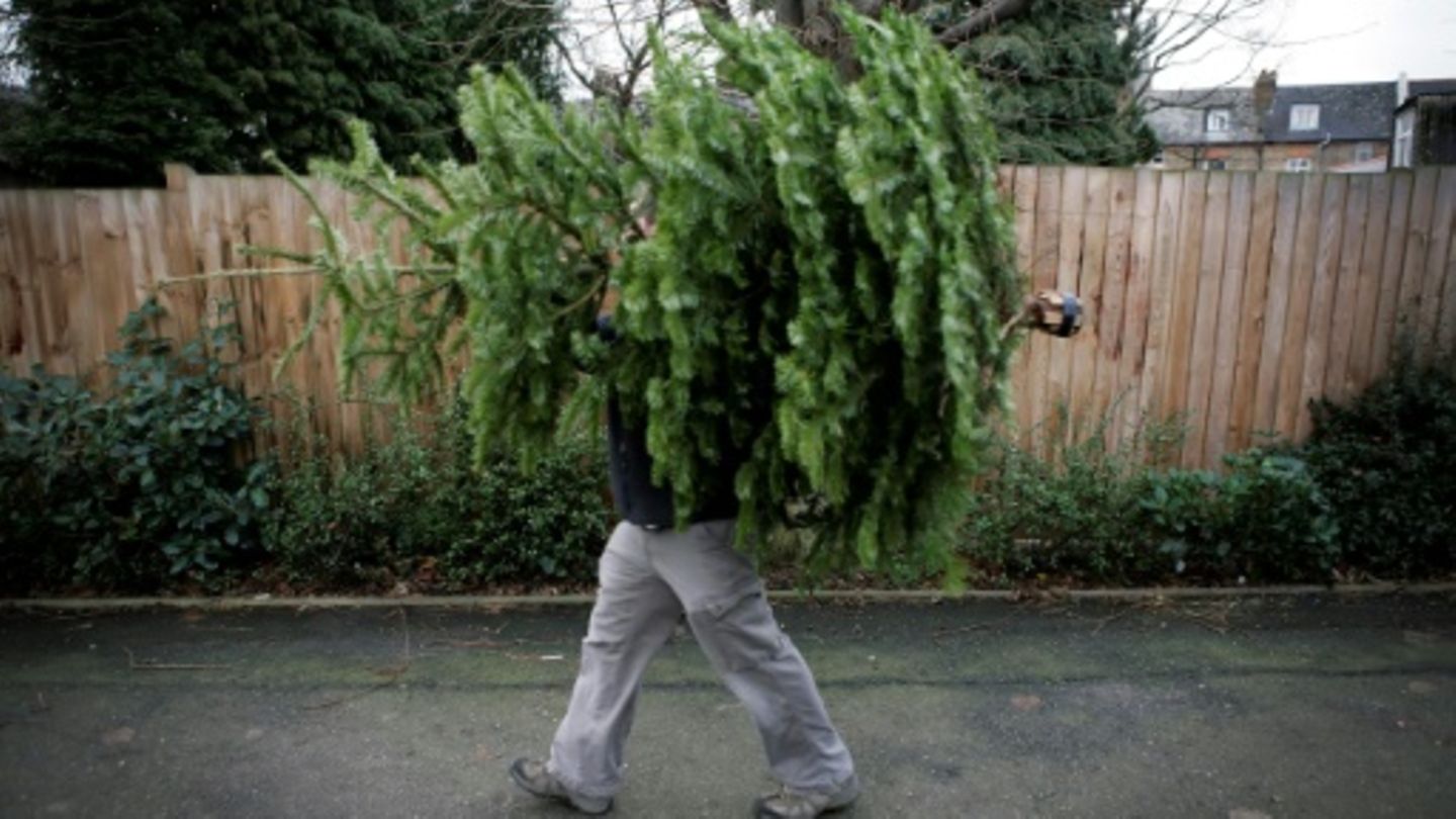 Mann mit Weihnachtsbaum