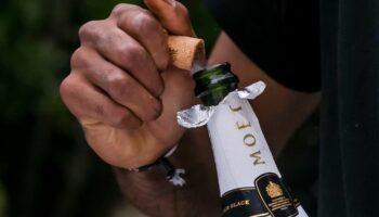 « Une grande fierté » : six champagnes français adoubés par Charles III