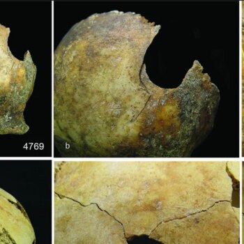 Violencia extrema, desmembramientos, canibalismo... Así fue la peor matanza prehistórica de Gran Bretaña hace 4.000 años