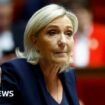 Vote is big opportunity but high risk for Marine Le Pen