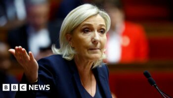 Vote is big opportunity but high risk for Marine Le Pen