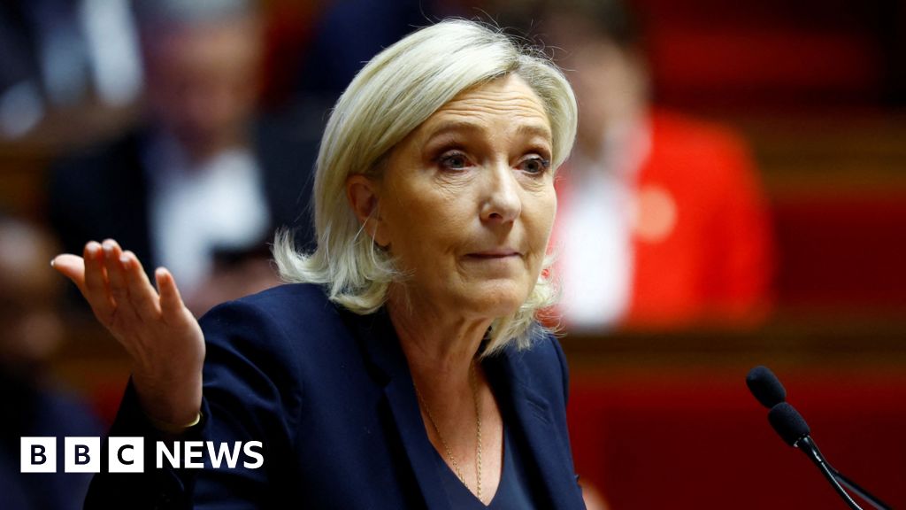 Vote is big opportunity but high risk for Marine Le Pen