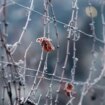 Wetter : Gefährliche Glätte in Bayern erwartet