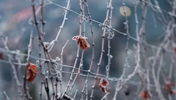 Wetter : Gefährliche Glätte in Bayern erwartet