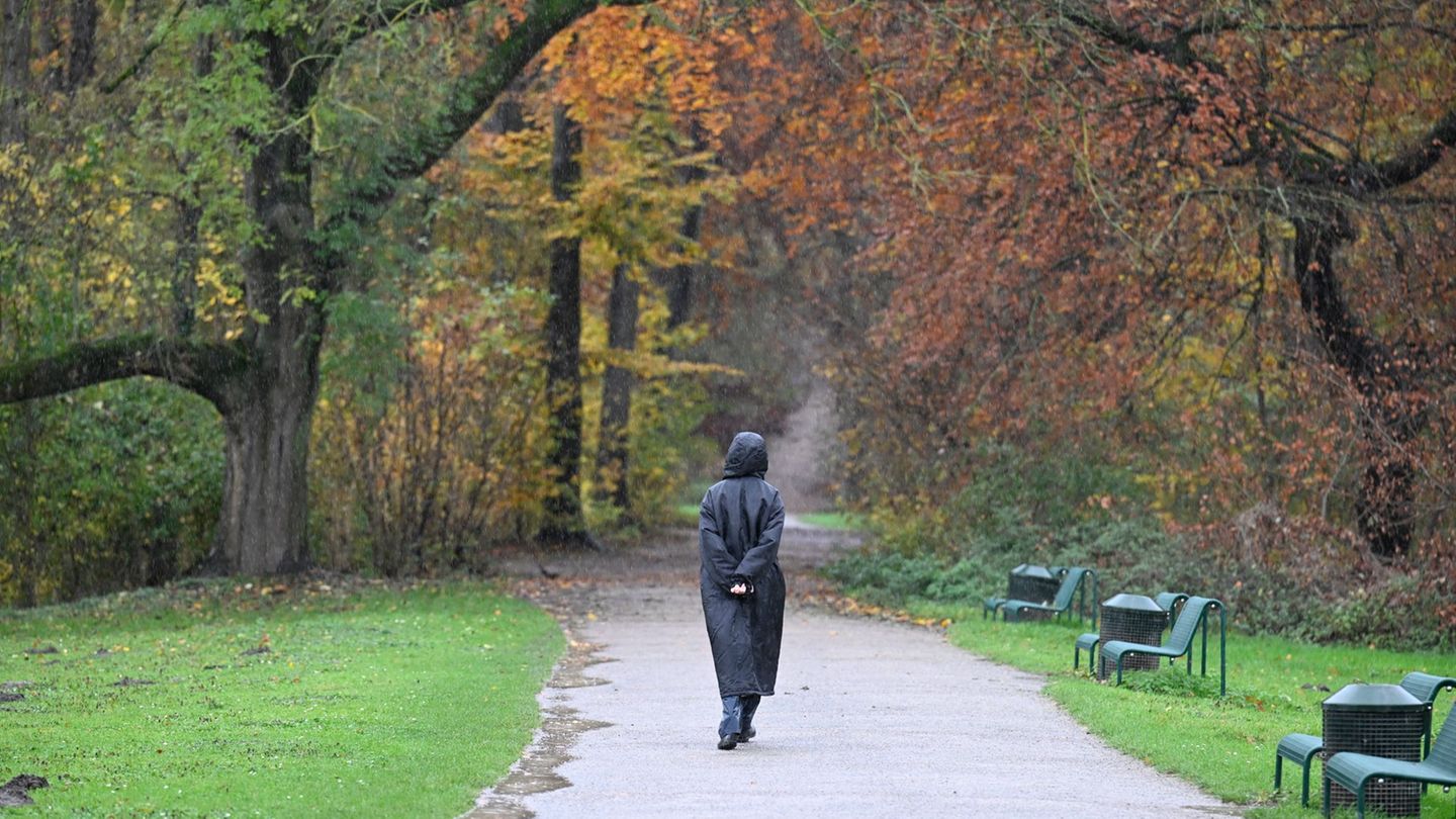 In der neuen Woche bestimmen Regen und Wolken das Wetter. Die Temperaturen sind mild. (Archivbild) Foto: Roberto Pfeil/dpa