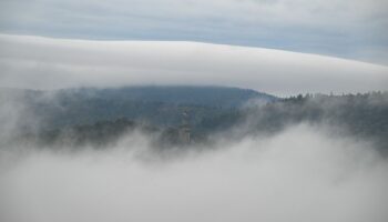 Bis zum Wochenende erwartet die Menschen in Hessen viel Nebel. Auch glatt könnte es werden. (Symbolbild) Foto: Arne Dedert/dpa