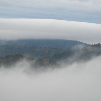 Bis zum Wochenende erwartet die Menschen in Hessen viel Nebel. Auch glatt könnte es werden. (Symbolbild) Foto: Arne Dedert/dpa