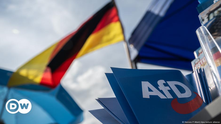 Wie gefährlich ist die AfD für die Demokratie?