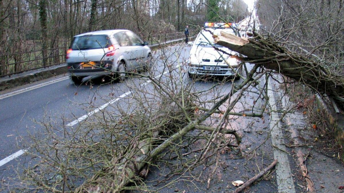 Yvelines : un arbre s’écrase sur une moto entre… le conducteur et sa passagère