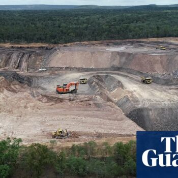 ‘We’re gobsmacked’: climate groups angered by Labor’s ‘no new coalmines’ claim