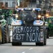 Manifestation d'agriculteurs de la FNSEA et de la Coordination rurale contre l'accord de libre-échange UE-Mercosur, le 18 novembre 2024 à Strasbourg, dans le Bas-Rhin