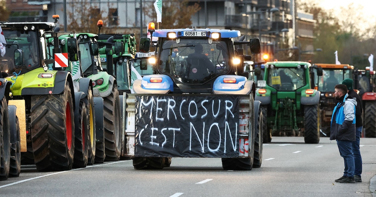 Manifestation d'agriculteurs de la FNSEA et de la Coordination rurale contre l'accord de libre-échange UE-Mercosur, le 18 novembre 2024 à Strasbourg, dans le Bas-Rhin