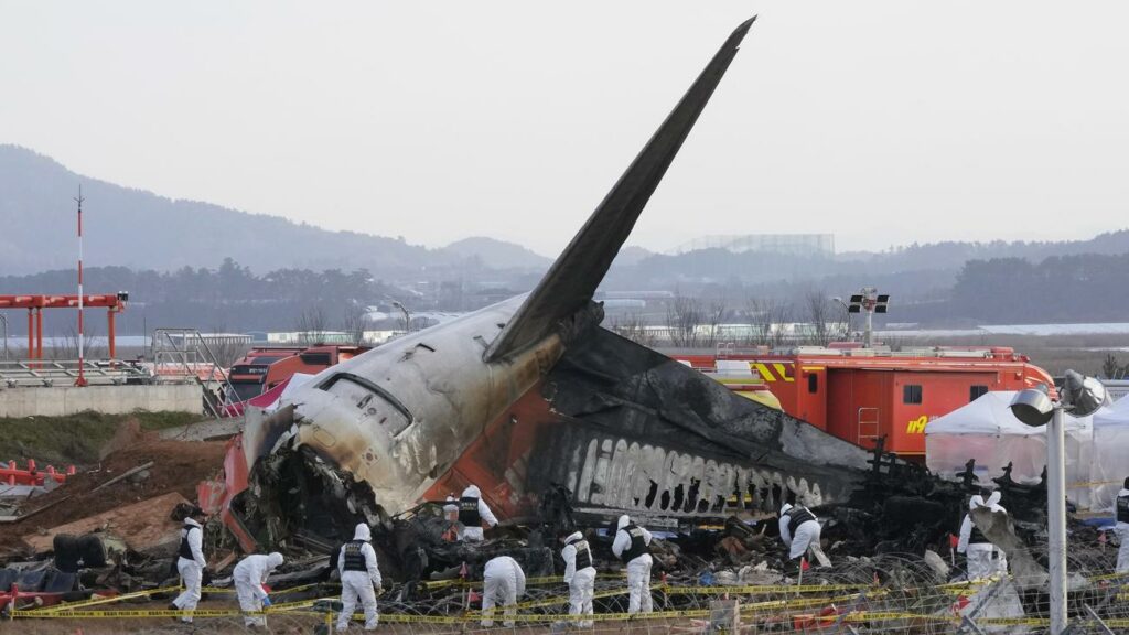 Jeju Air: Airport in Südkorea nach Flugzeugunglück durchsucht