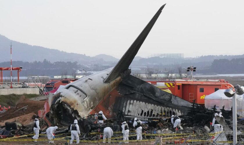 Jeju Air: Airport in Südkorea nach Flugzeugunglück durchsucht