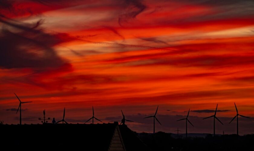 Energiepreis: Bundeskartellamt will zeitweise hohe Preise an Strombörsen überprüfen