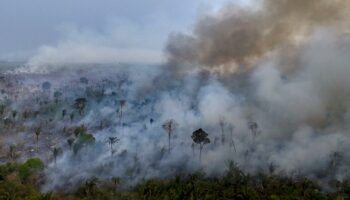 Brésil : derrière le triste record d’incendies en Amazonie, il y a quand même une bonne nouvelle en 2024