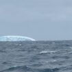 VIDEO. "Ça fait peur, on ne fait pas les malins" : des navigateurs du Vendée Globe croisent d'impressionnants icebergs