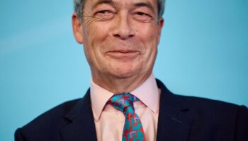 Entre Nigel Farage et les conservateurs britanniques, plus de pitié plus de quartier