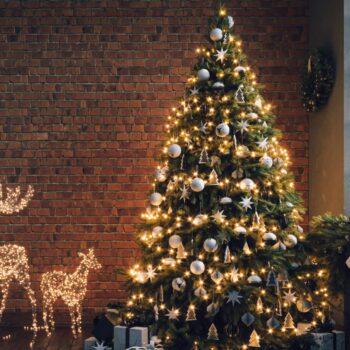 When is the best time to take down your Christmas tree?