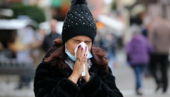 Épidémie de grippe : l'activité en médecine de ville "déjà au niveau du pic de l'année dernière", selon un médecin virologue