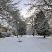 Weather latest: Snow warnings as NHS board says to avoid going outside in morning or night amid icy conditions