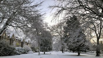 Weather latest: Snow warnings as NHS board says to avoid going outside in morning or night amid icy conditions