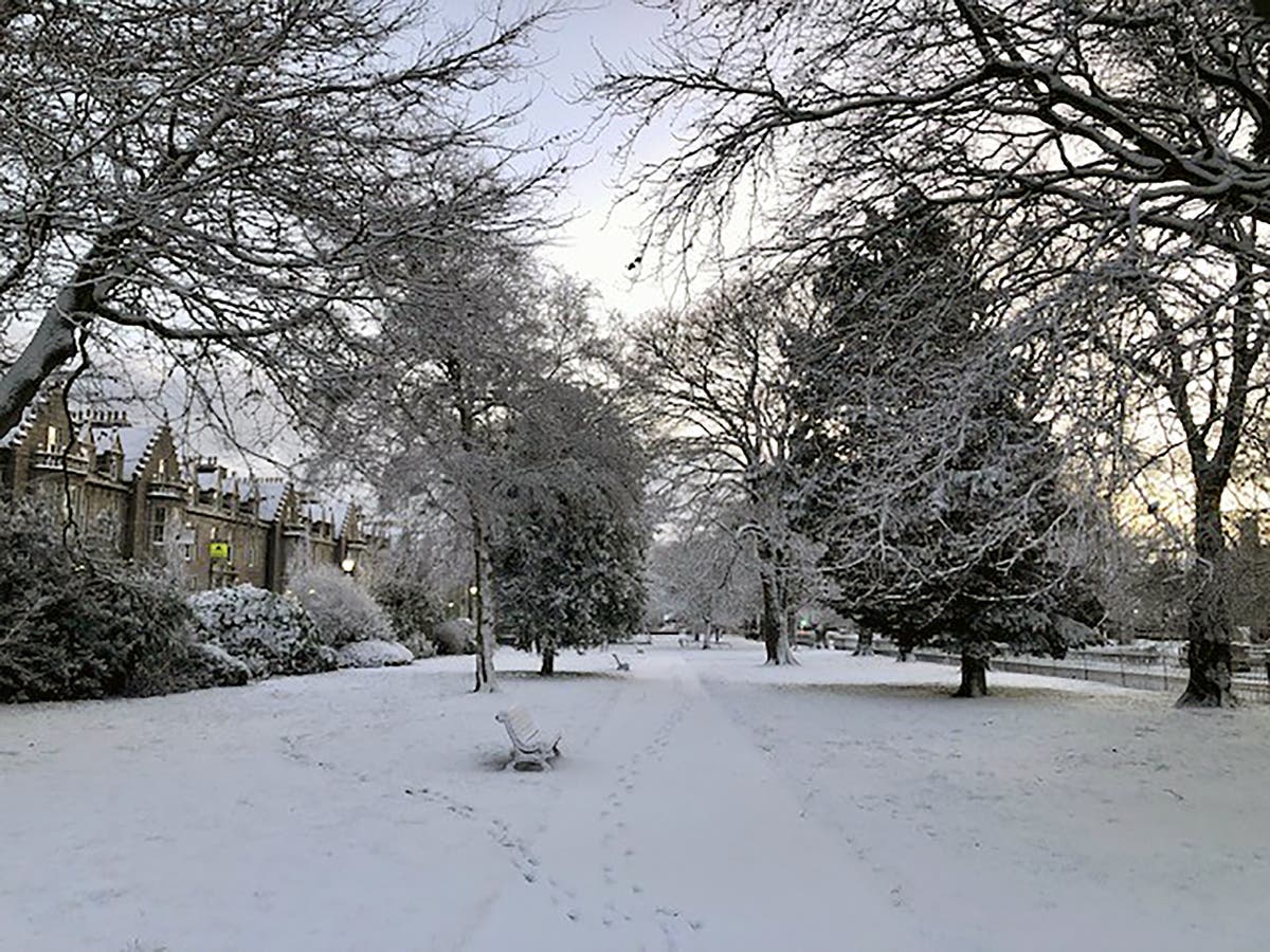 Weather latest: Snow warnings as NHS board says to avoid going outside in morning or night amid icy conditions