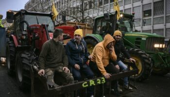 Des membres de la Coordination rurale de Gironde lors d'une mobilisation contre l'accord entre l'UE et le Mercosur, le 19 novembre 2024.