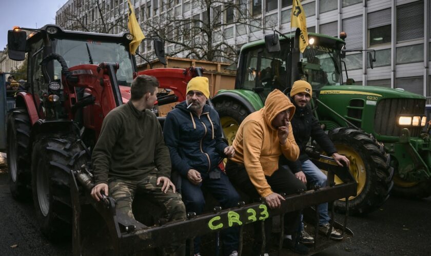 Des membres de la Coordination rurale de Gironde lors d'une mobilisation contre l'accord entre l'UE et le Mercosur, le 19 novembre 2024.