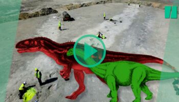 Les images d’une impressionnante « autoroute des dinosaures » découverte en Angleterre