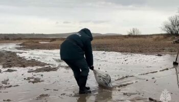 Une marée noire en Russie et en Crimée s’étend jusqu’à Sébastopol, base de la flotte russe en mer Noire