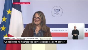 "C'est dans ces tempêtes que chacun doit prendre ses responsabilités", déclare la porte-parole du gouvernement à l'issue du premier Conseil des ministres