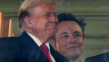 Donald Trump and Elon Musk. Pic: AP