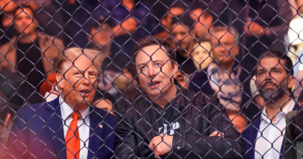 Donald Trump et Elon Musk assistent à un combat de MMA au Madison Square Garden de New York, le 16 novembre 2024