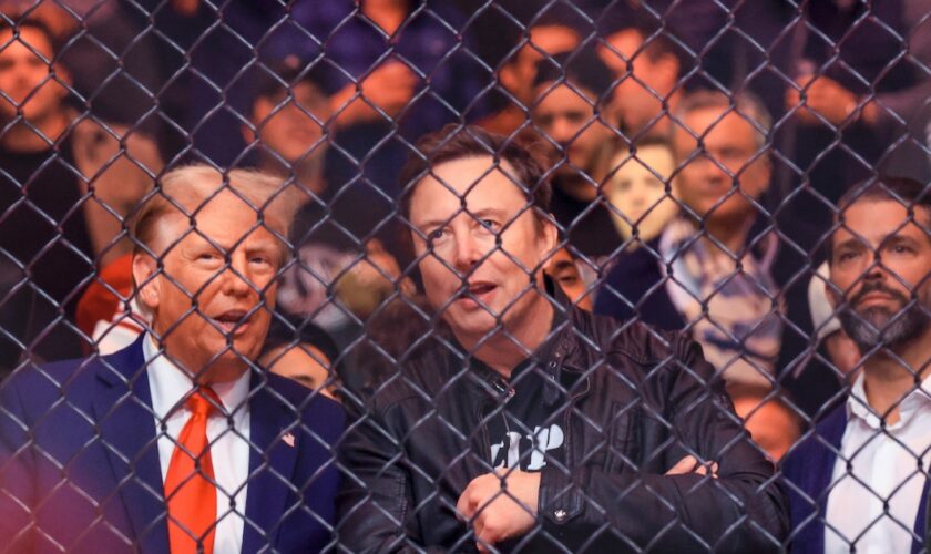 Donald Trump et Elon Musk assistent à un combat de MMA au Madison Square Garden de New York, le 16 novembre 2024