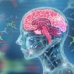 Aging ‘hotspot’ found in brain, researchers say: ‘Major changes’