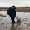 Des sauveteurs interviennent sur une marée noire le long du littoral de la mer Noire, causée par le naufrage de deux pétroliers russes lors d'une tempête dans le détroit de Kertch entre la Crimée et la région de Krasnodar, dans le sud de la Russie, le 15 décembre 2024, image tirée d'un document diffusé par le ministère russe des situations d'urgence le 17 décembre 2024