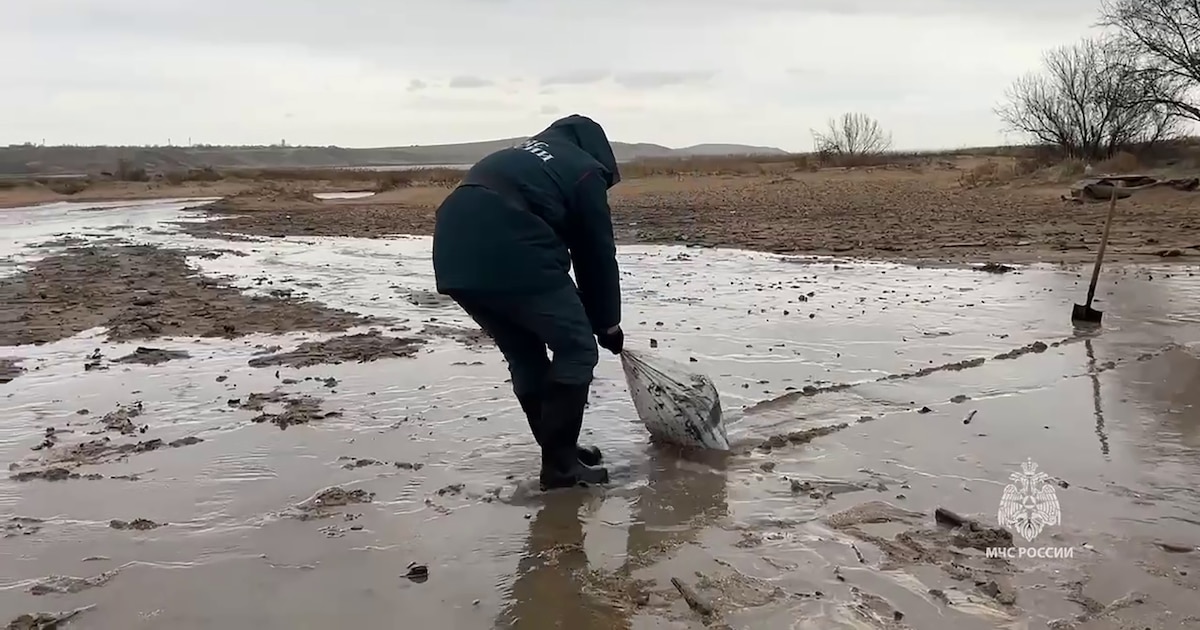 Des sauveteurs interviennent sur une marée noire le long du littoral de la mer Noire, causée par le naufrage de deux pétroliers russes lors d'une tempête dans le détroit de Kertch entre la Crimée et la région de Krasnodar, dans le sud de la Russie, le 15 décembre 2024, image tirée d'un document diffusé par le ministère russe des situations d'urgence le 17 décembre 2024