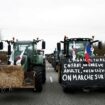 Mobilisation des agriculteurs de la Coordination rurale : interdictions de manifester au centre de Paris et à Rungis