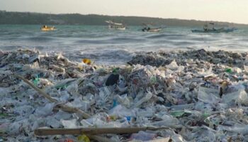 Indonésie : à Bali, les plages croulent sous les déchets