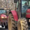 Colère des agriculteurs : la Coordination rurale veut bloquer Paris