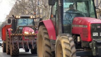 Colère des agriculteurs : la Coordination rurale veut bloquer Paris