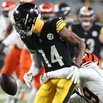 Steelers' George Pickens argues with fans during loss to Bengals