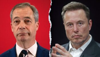 Nigel Farage responds after Elon Musk declares he 'doesn't have what it takes' to lead Reform UK Party