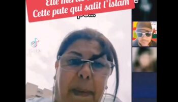 Appels à la haine sur Tiktok : trois influenceurs franco-algériens de la région lyonnaise signalés aux autorités