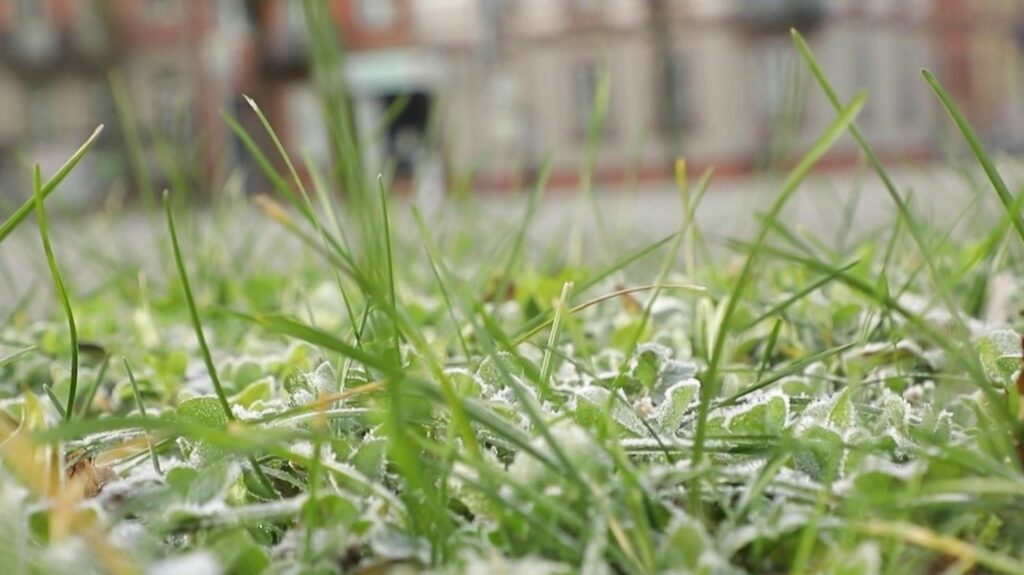 Bas-Rhin : comment les Français s'adaptent-ils au froid ?